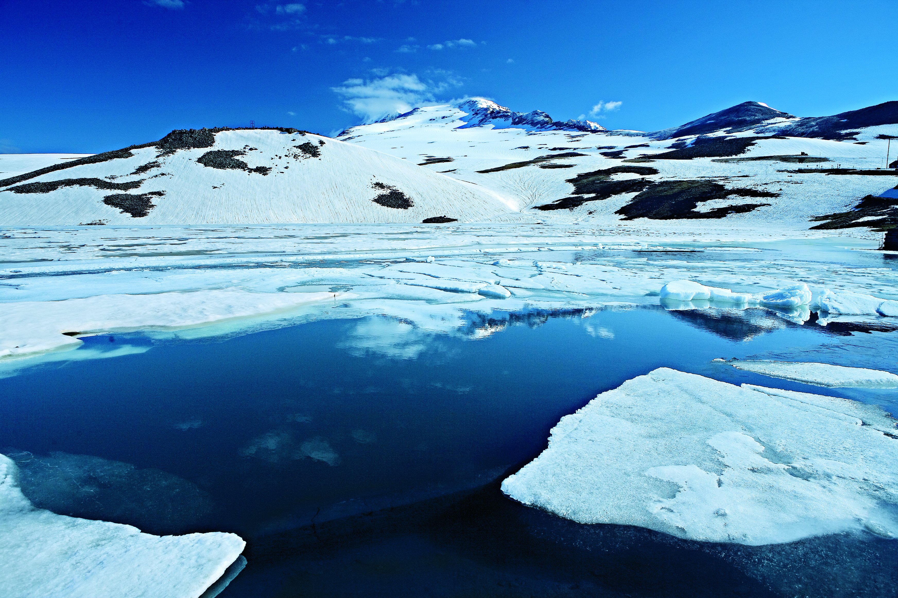 Kari Lake