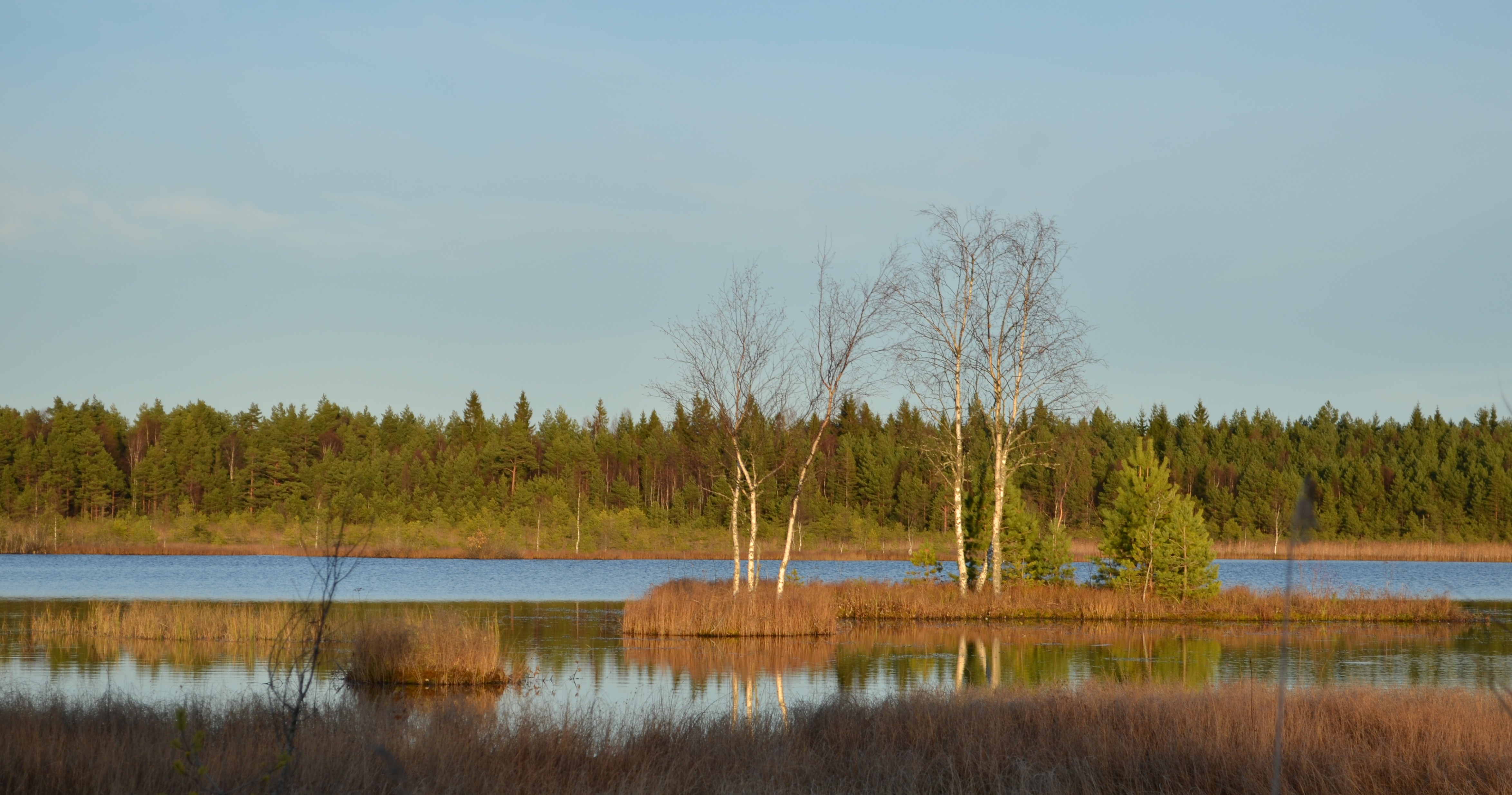 Laanemaa järv
