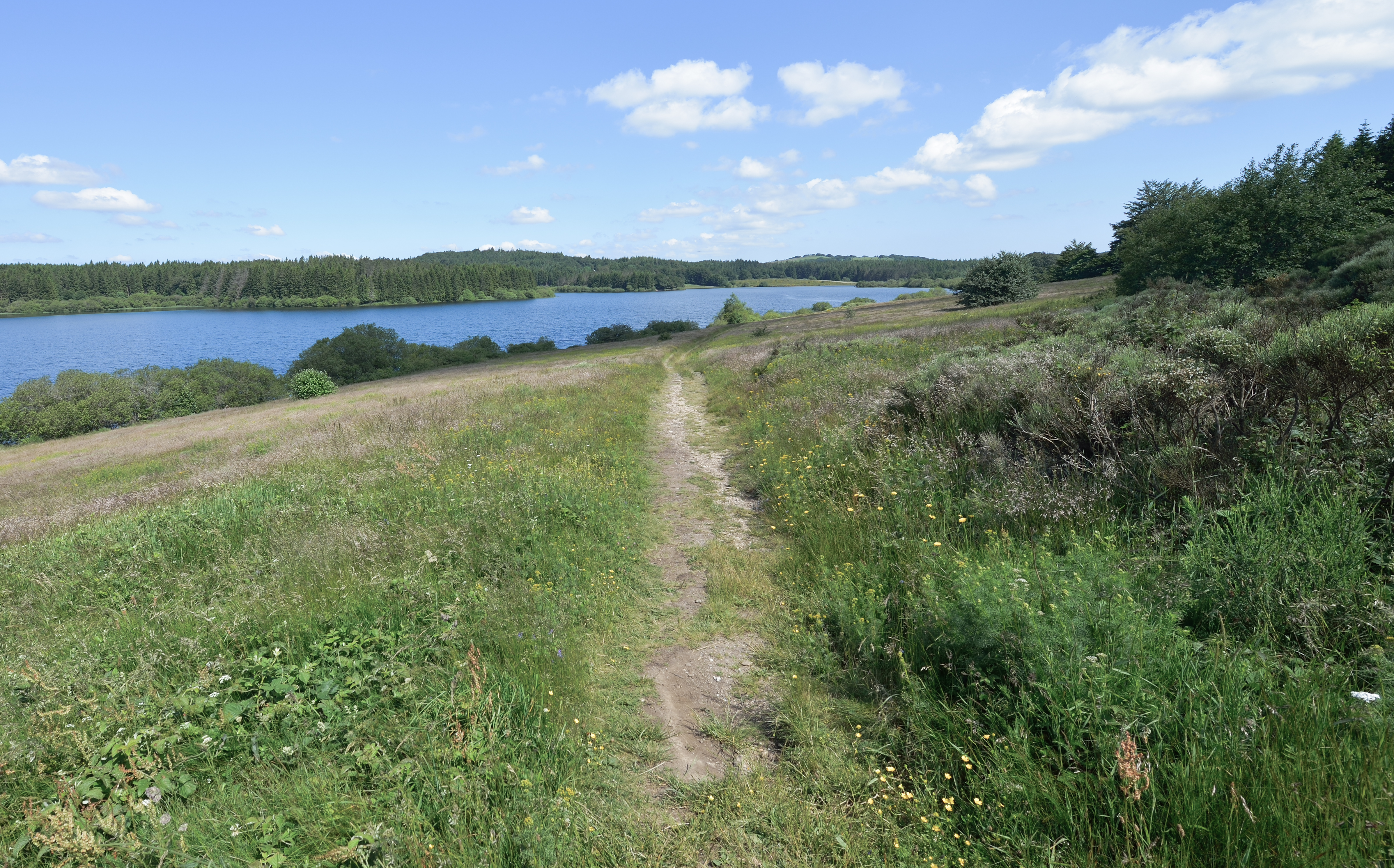 Lac de Vézoles, Hérault 04