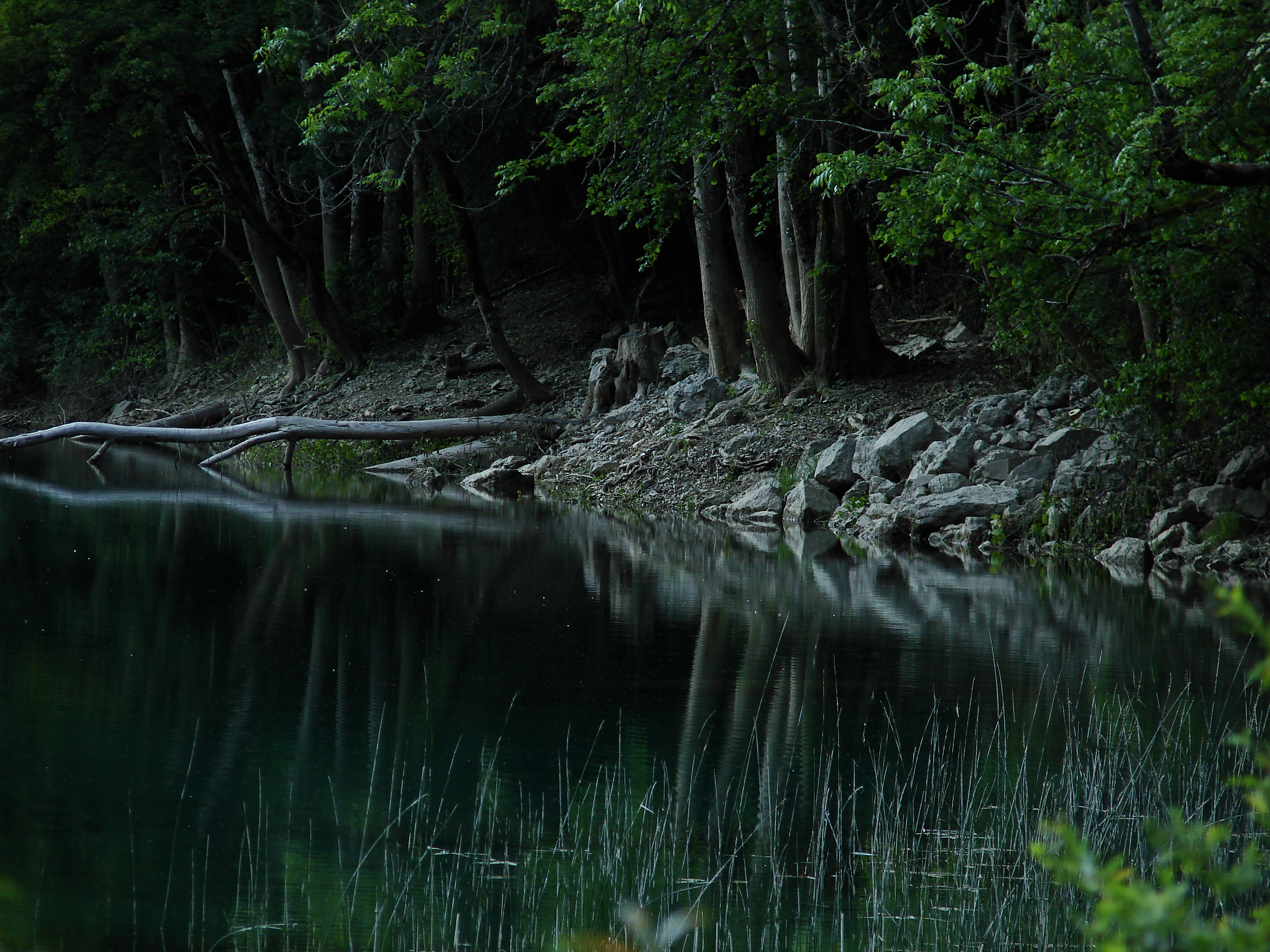 Lac des hopitaux99