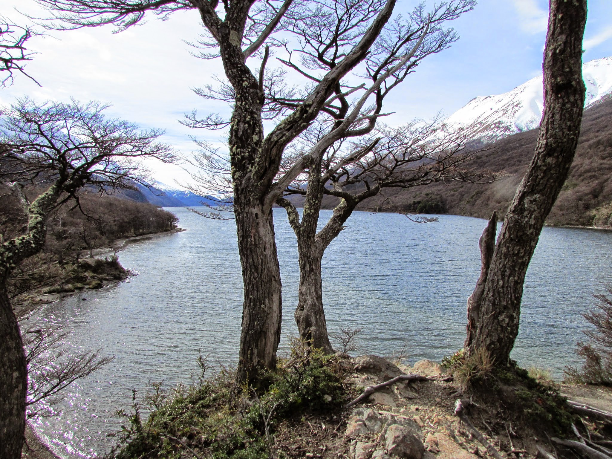 Lago del Desierto