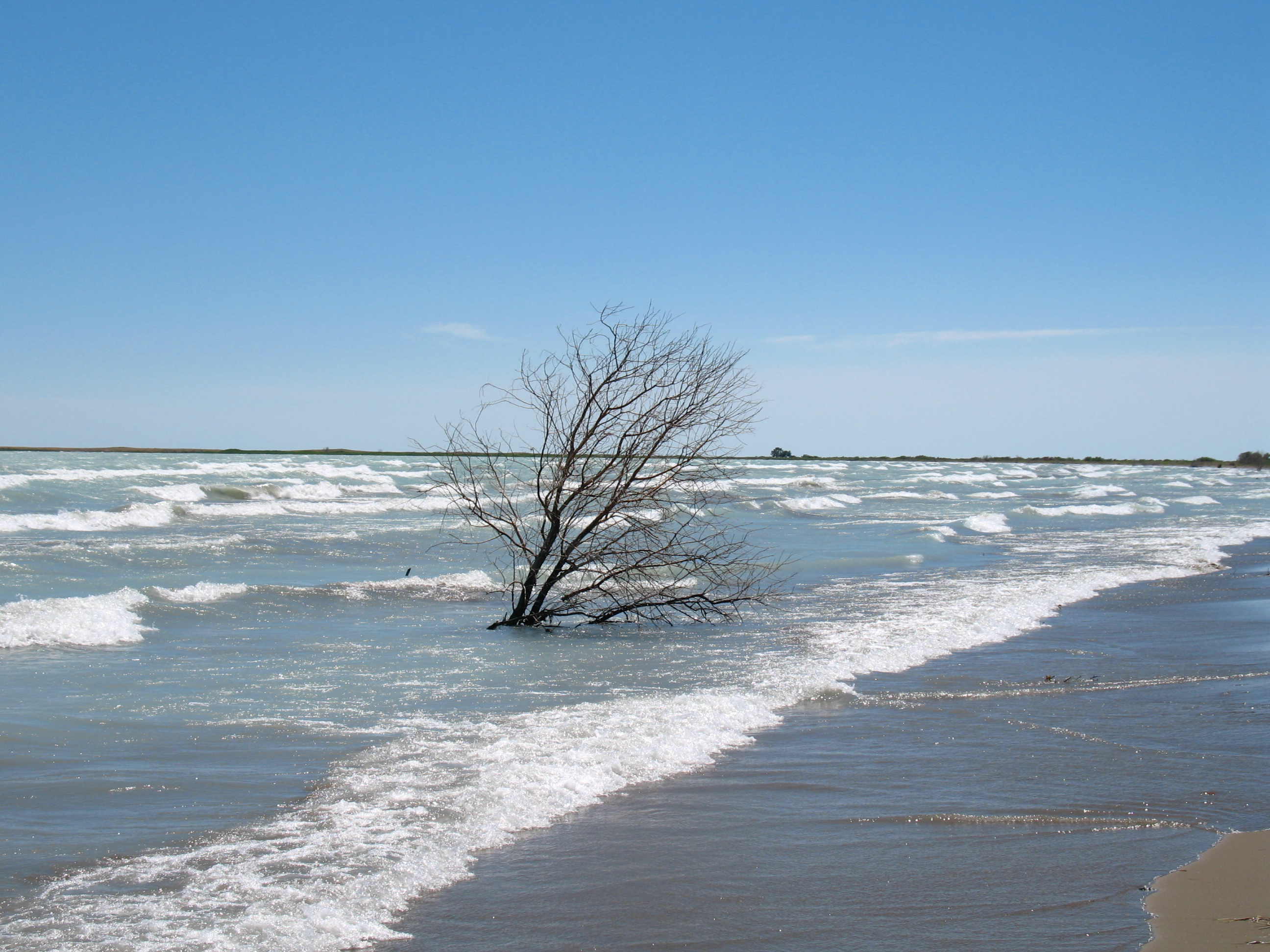 Lake Balkhash May 2007 3