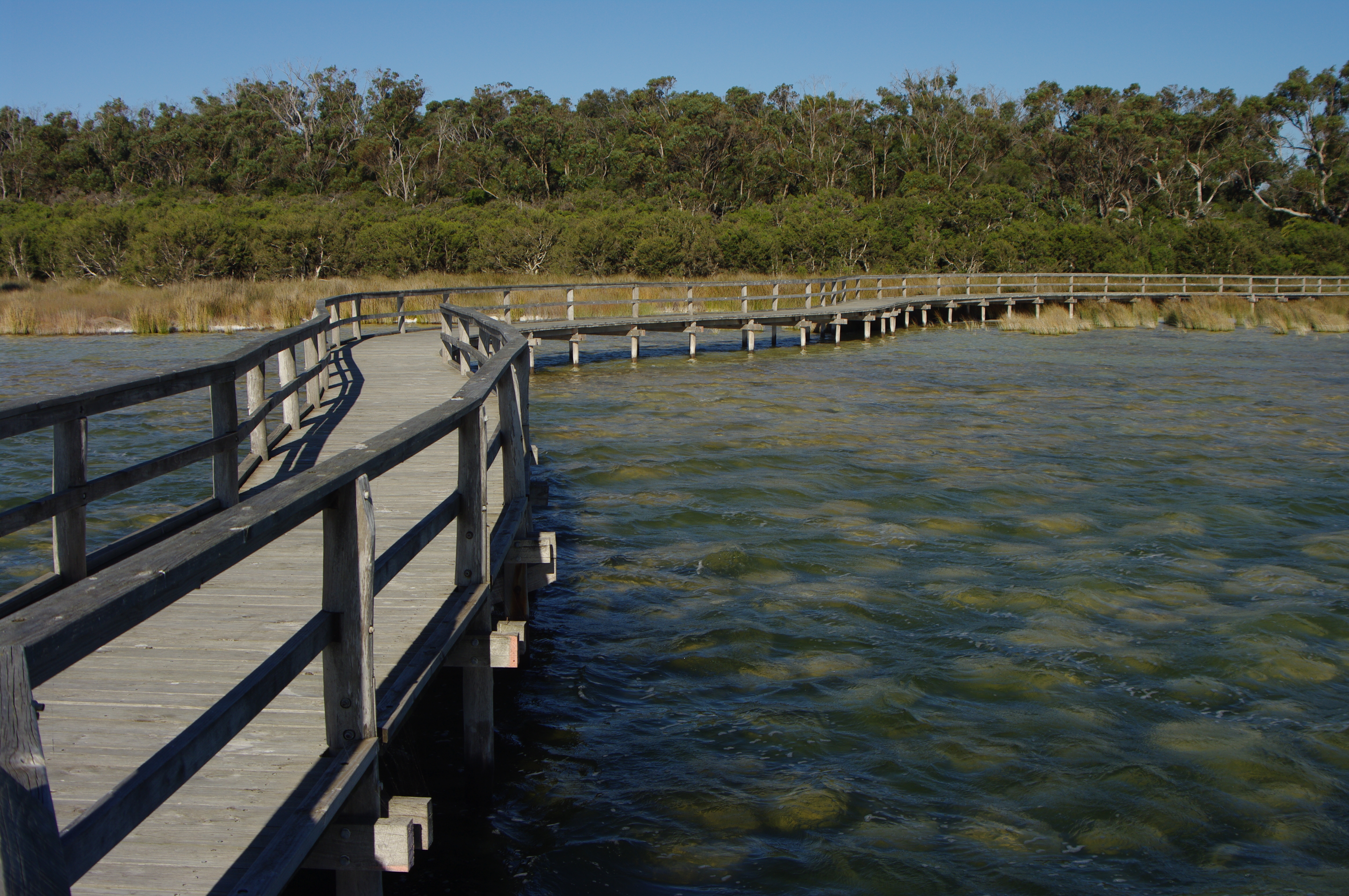Lake clifton gnangarra 03