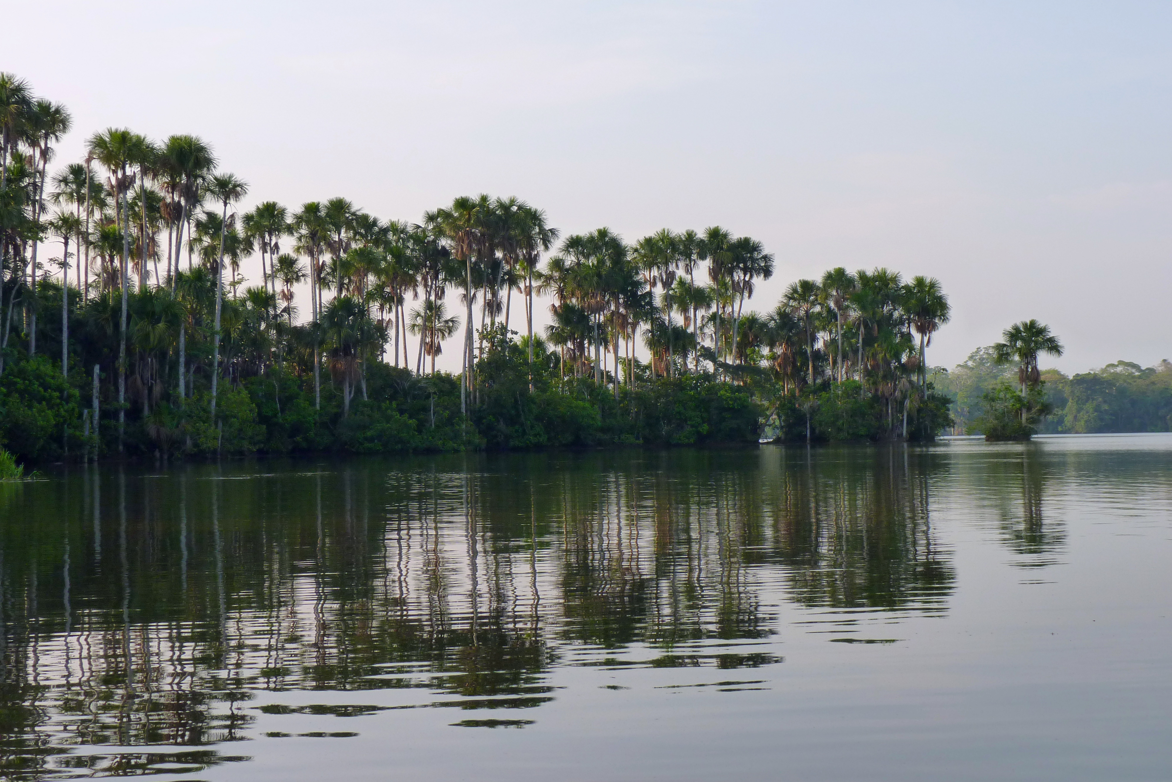 Lake Sandoval (7958399600)