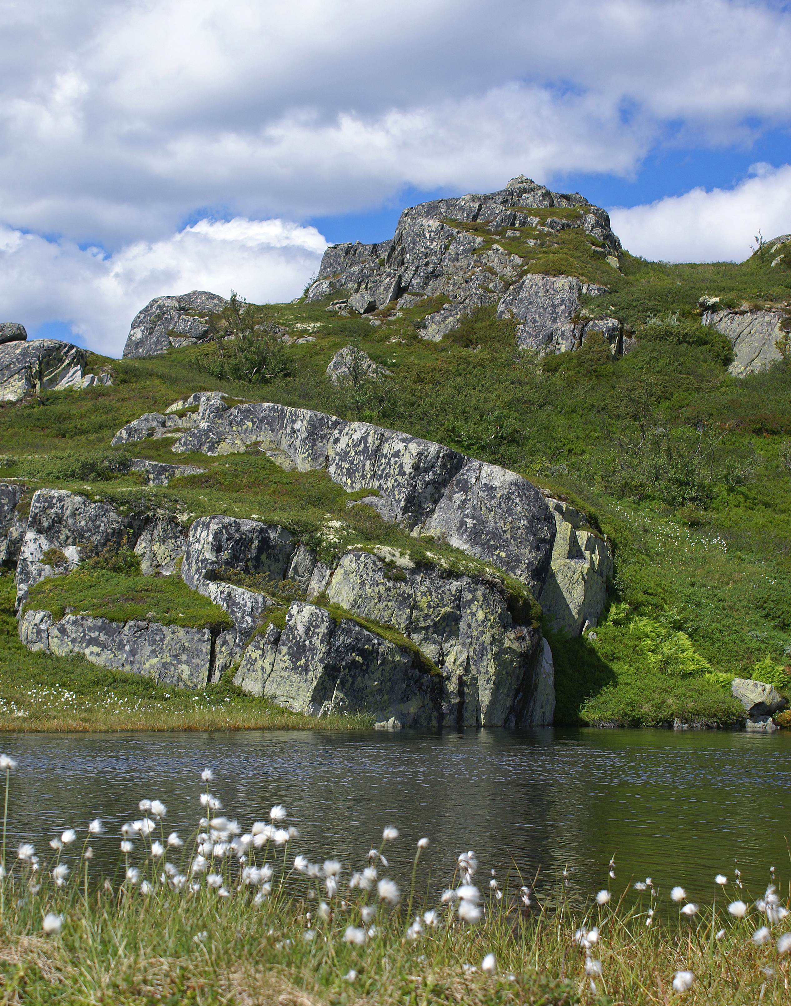 Landscape - Telemark (2702335740)