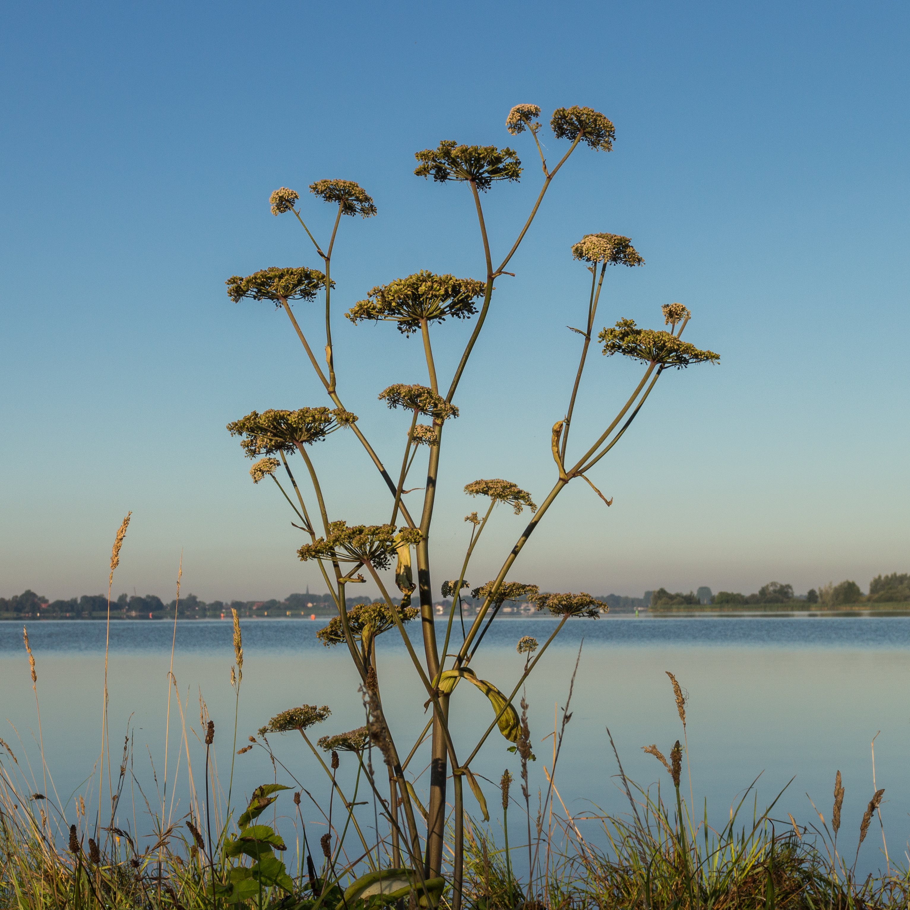 Langweerderwielen-Langwarder Wielen (actm) 04