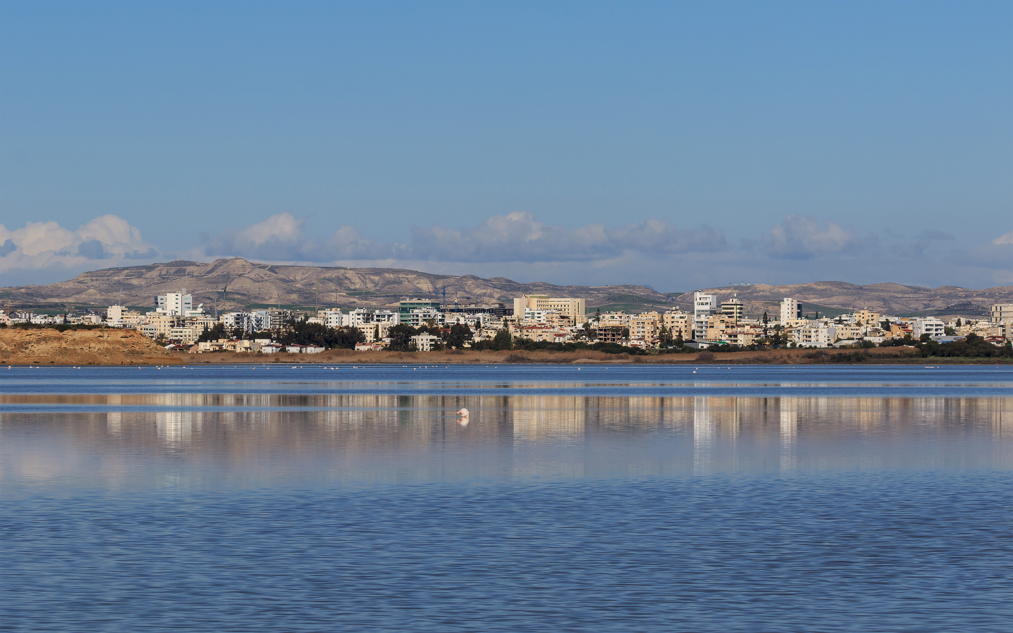 Larnaca 01-2017 img31 Salt Lake