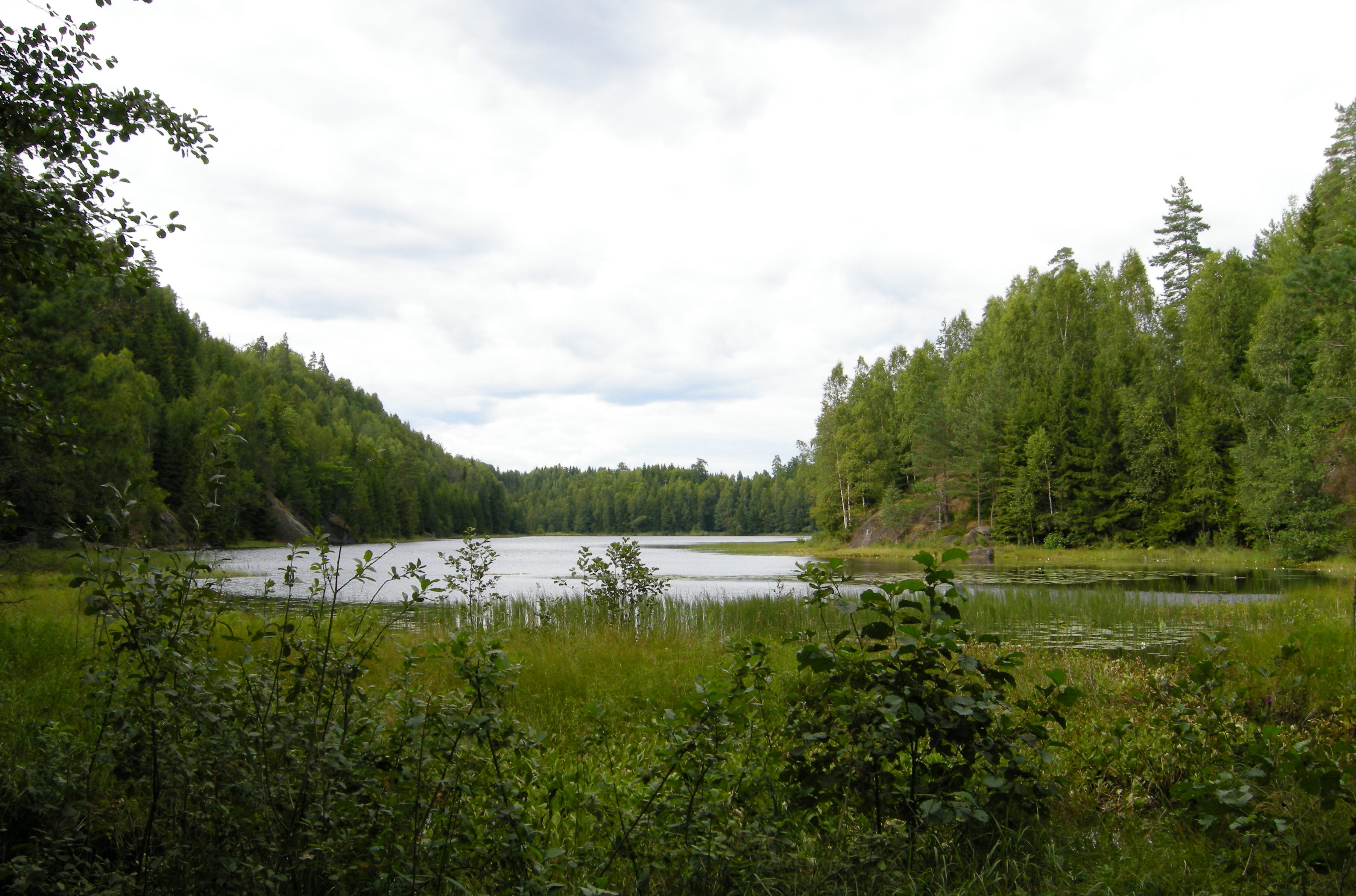 Lauvbuvannet