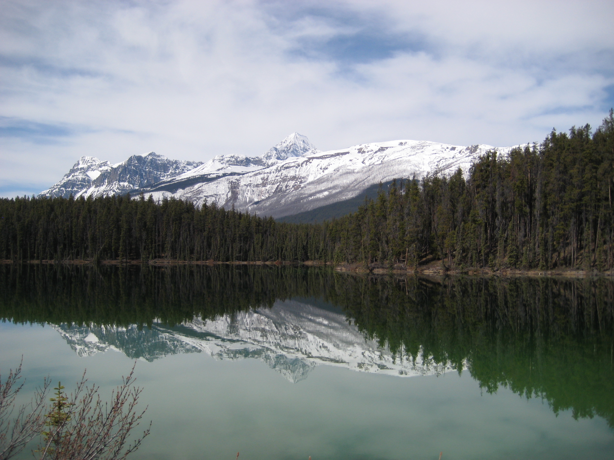 Leach Lake, Alberta (5808755195)
