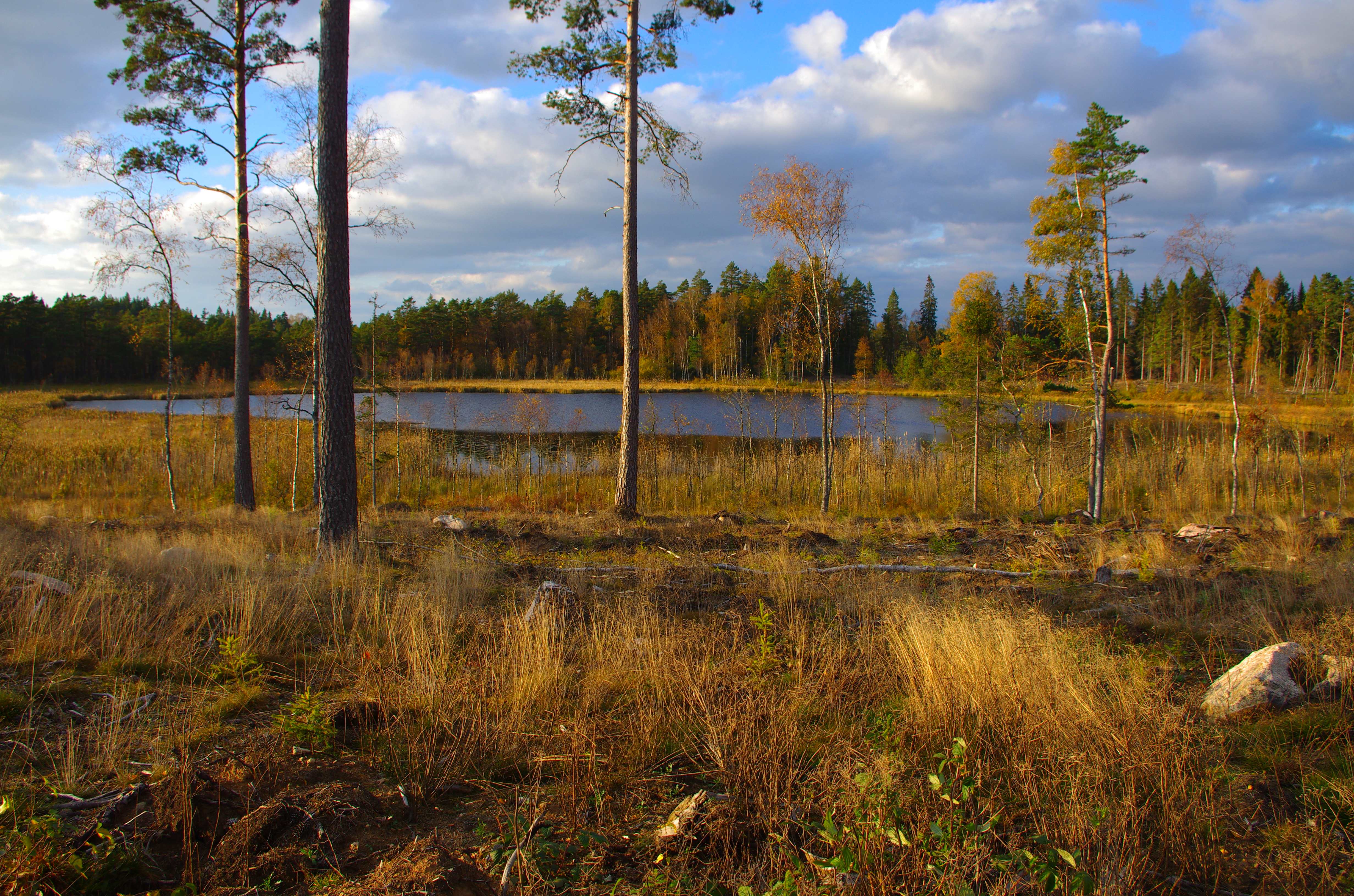 Lilla Eketången 02