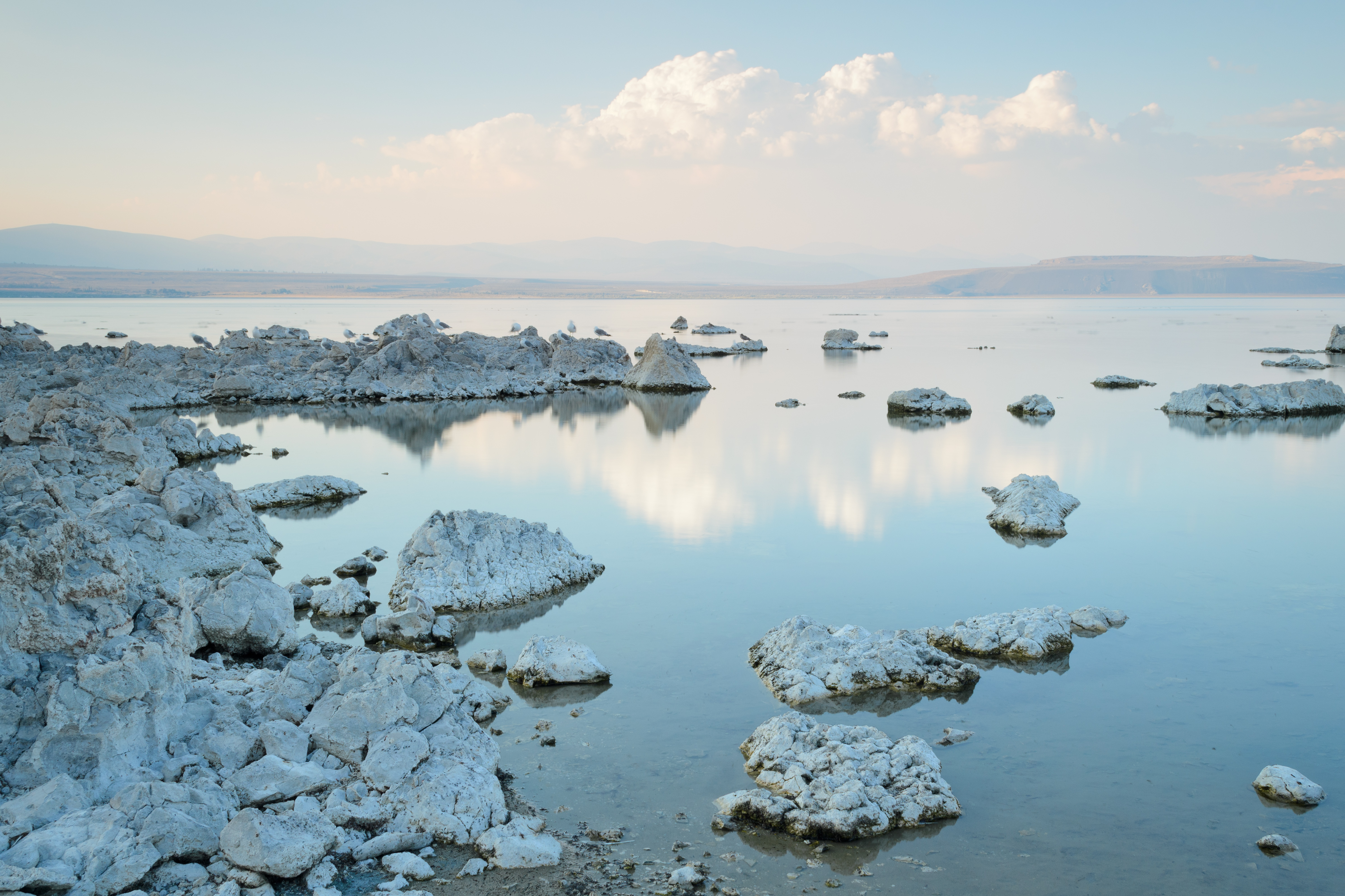 Mono Lake Old Marina August 2013 006