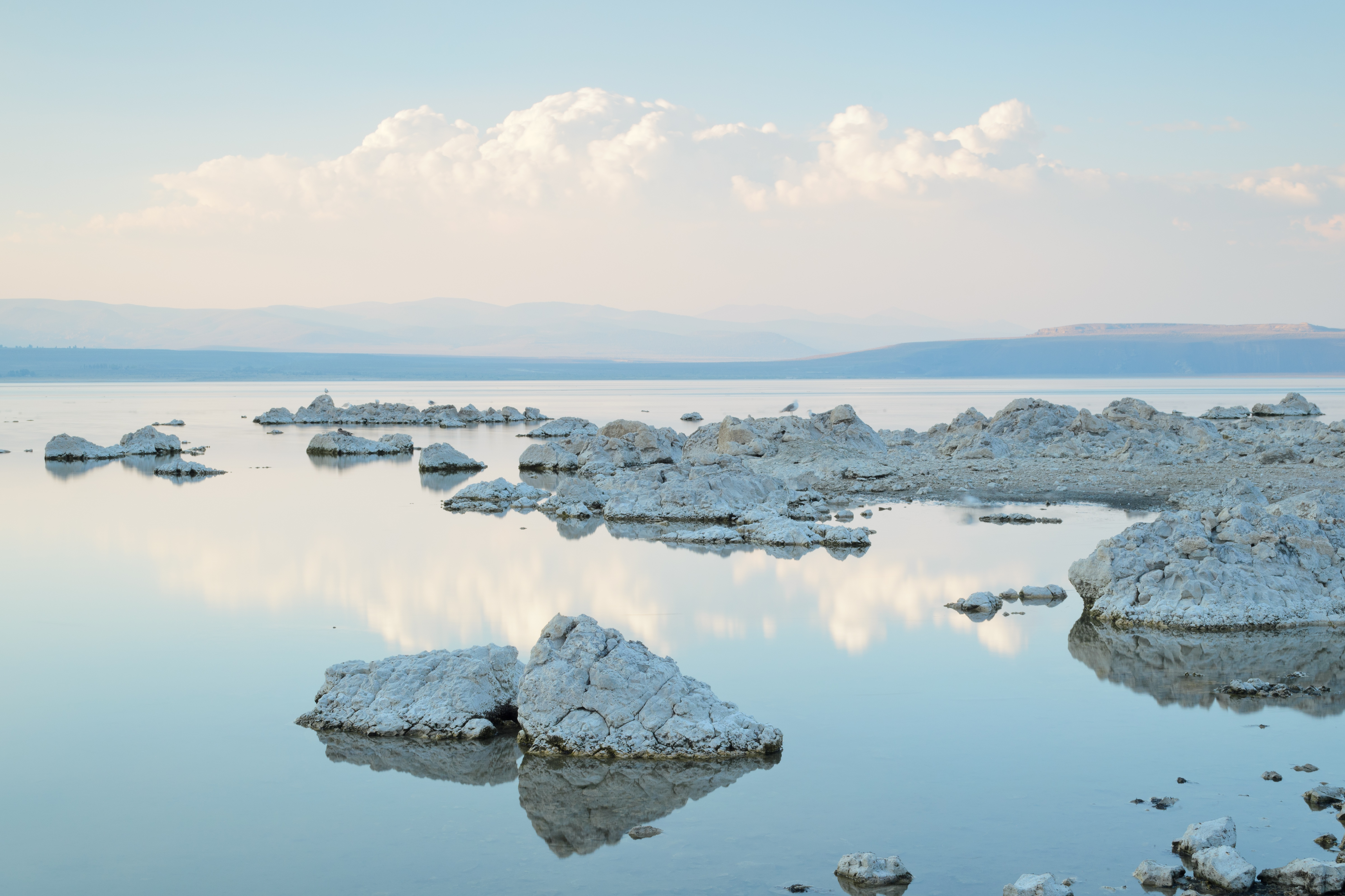 Mono Lake Old Marina August 2013 008