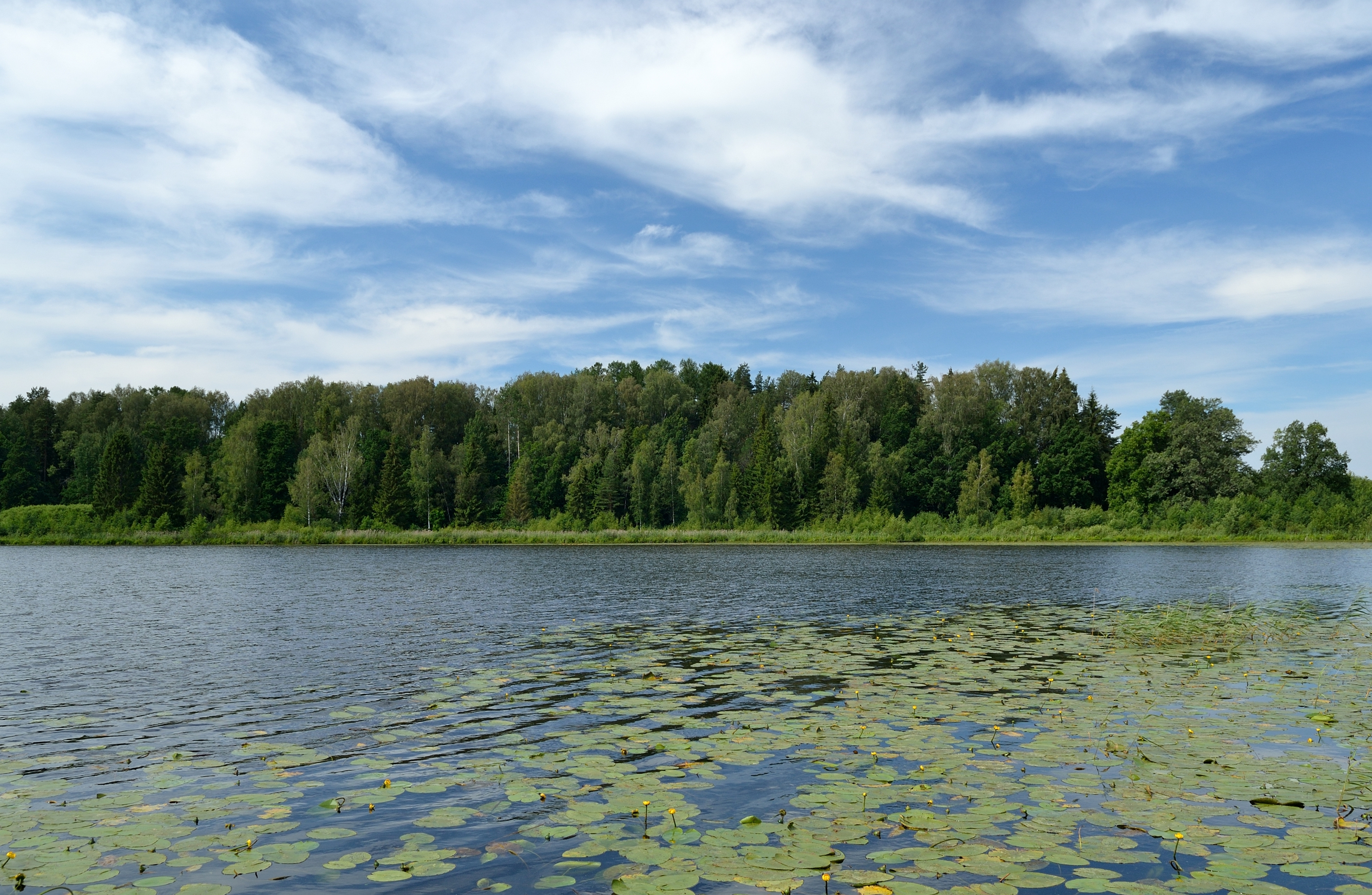Mooste järv