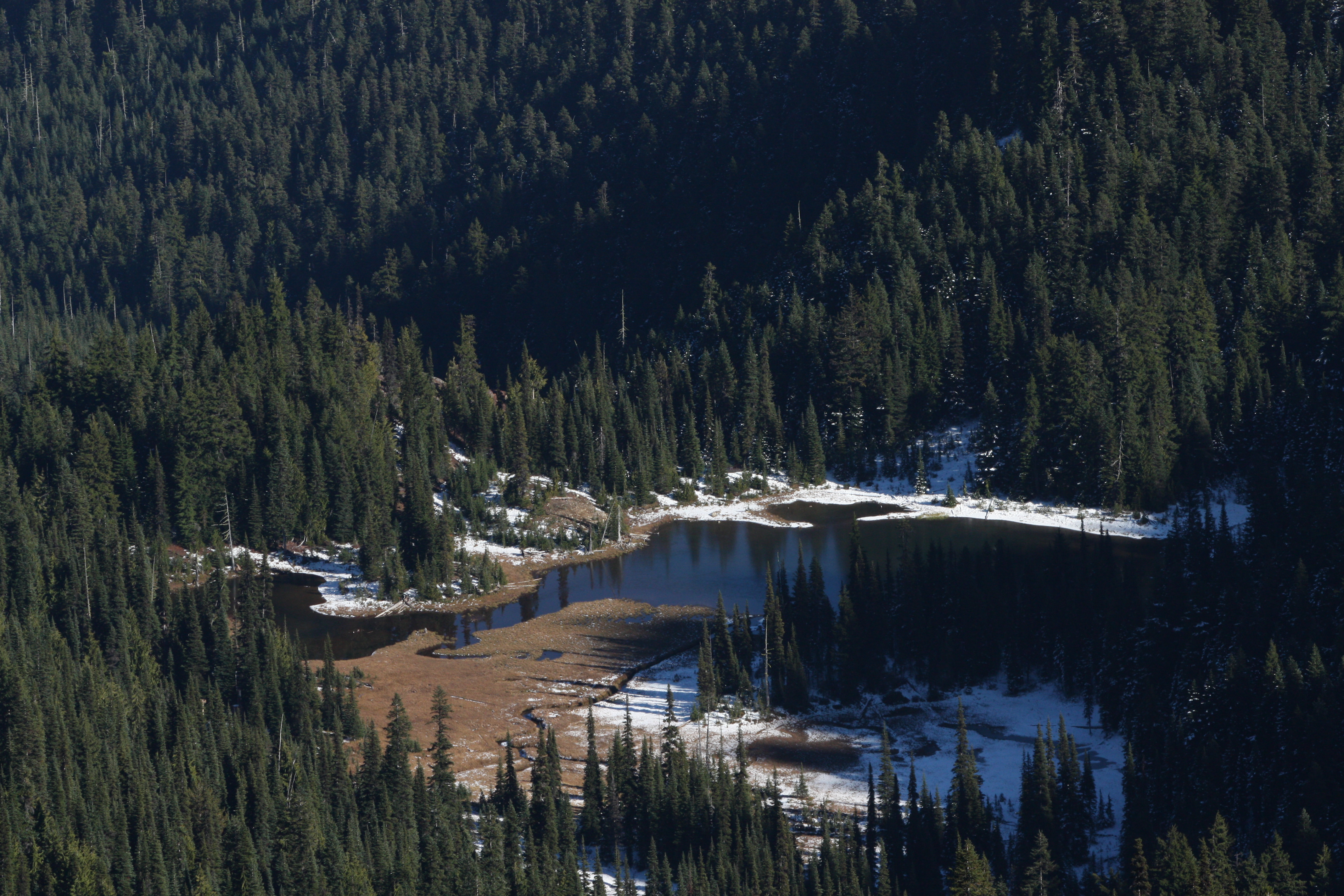 Norse Peak Wilderness 5985