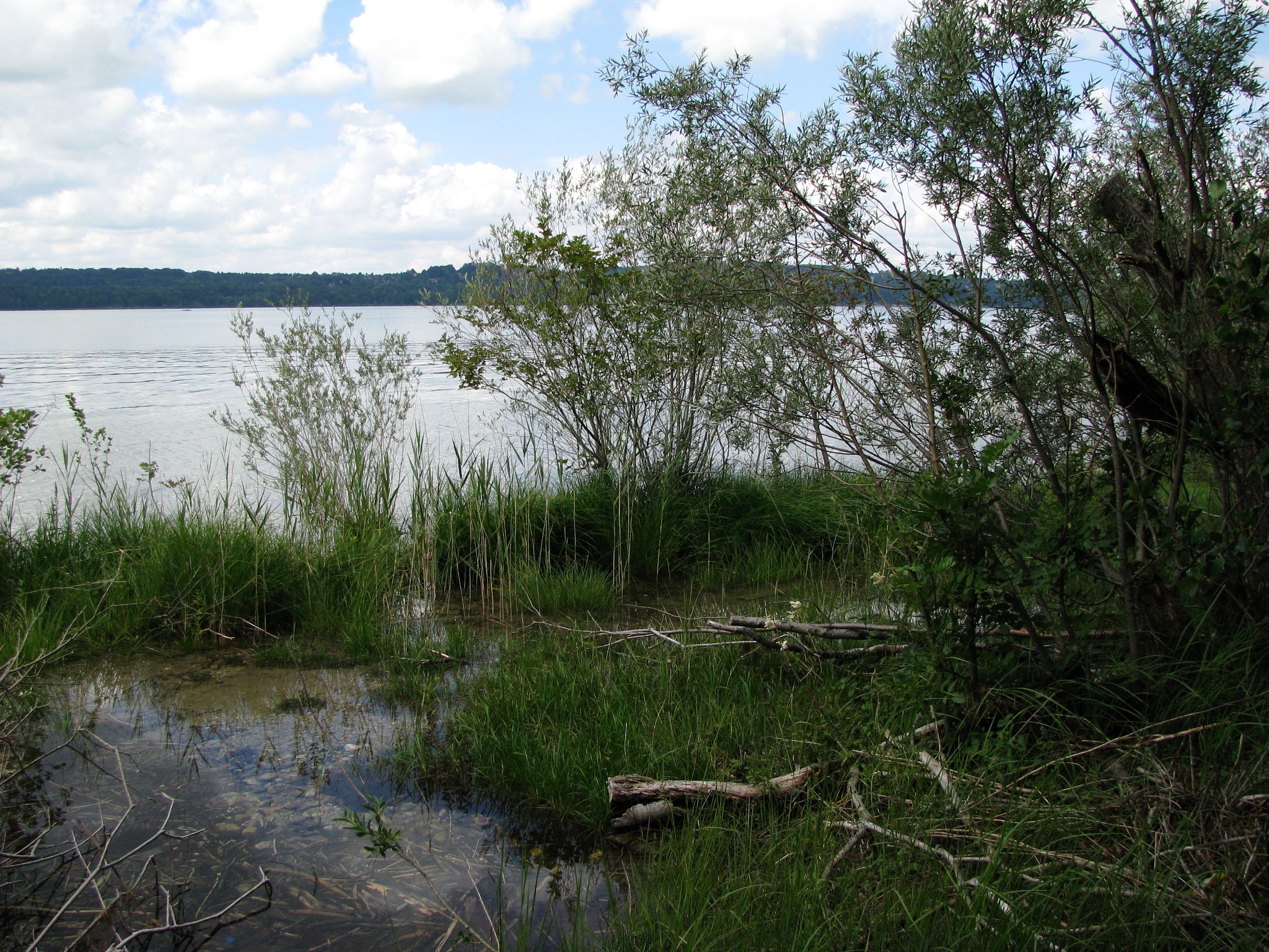 NSG Starnberger See Ostufer-2