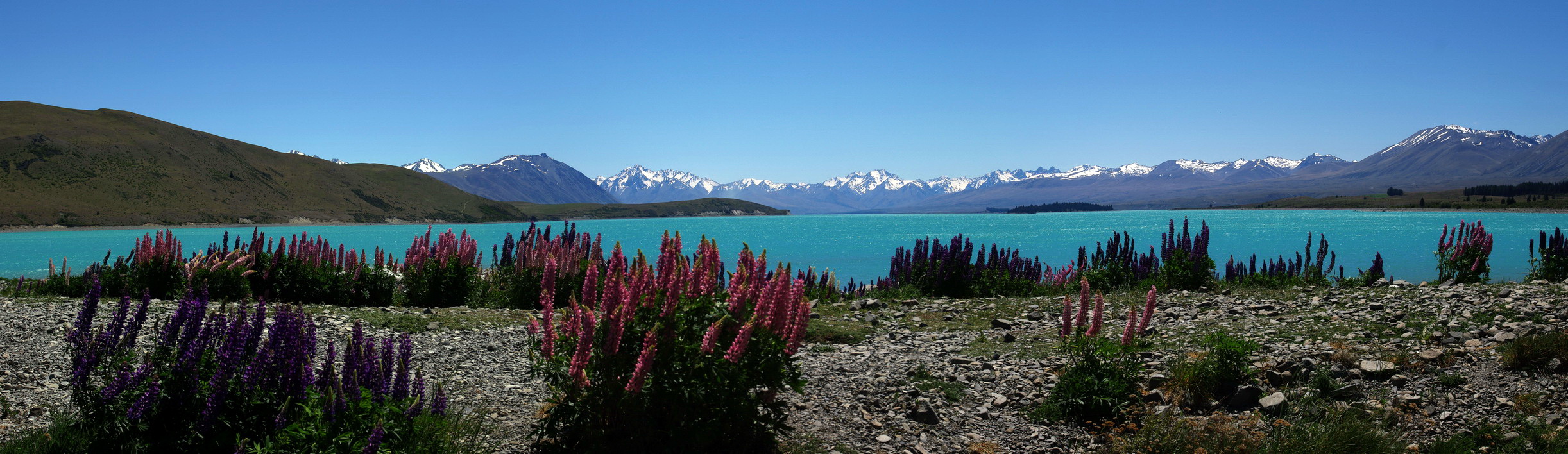 NZL-lake-tekapo-pano