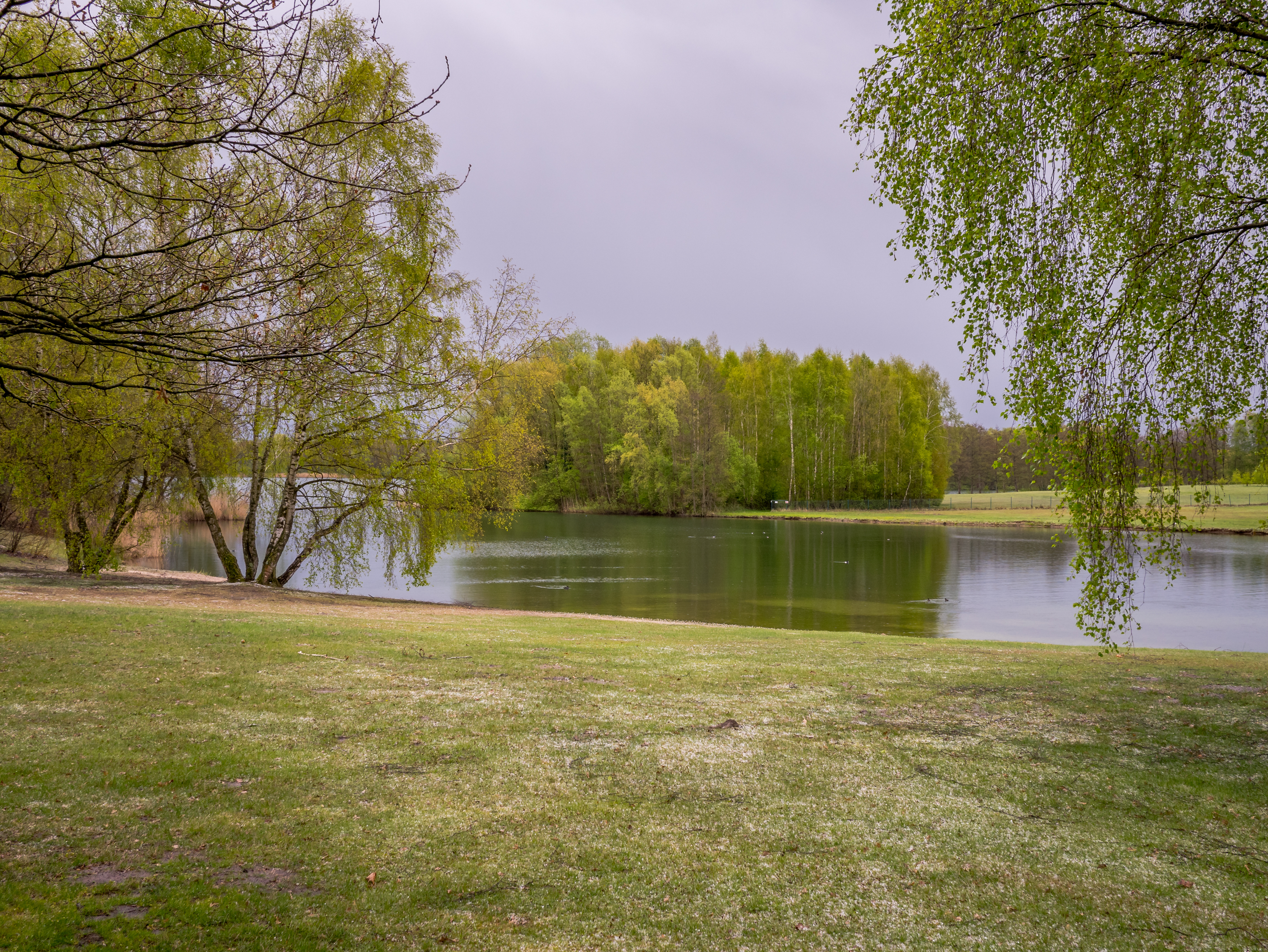 Ostercappeln - Schwagstorf - Kronensee 01