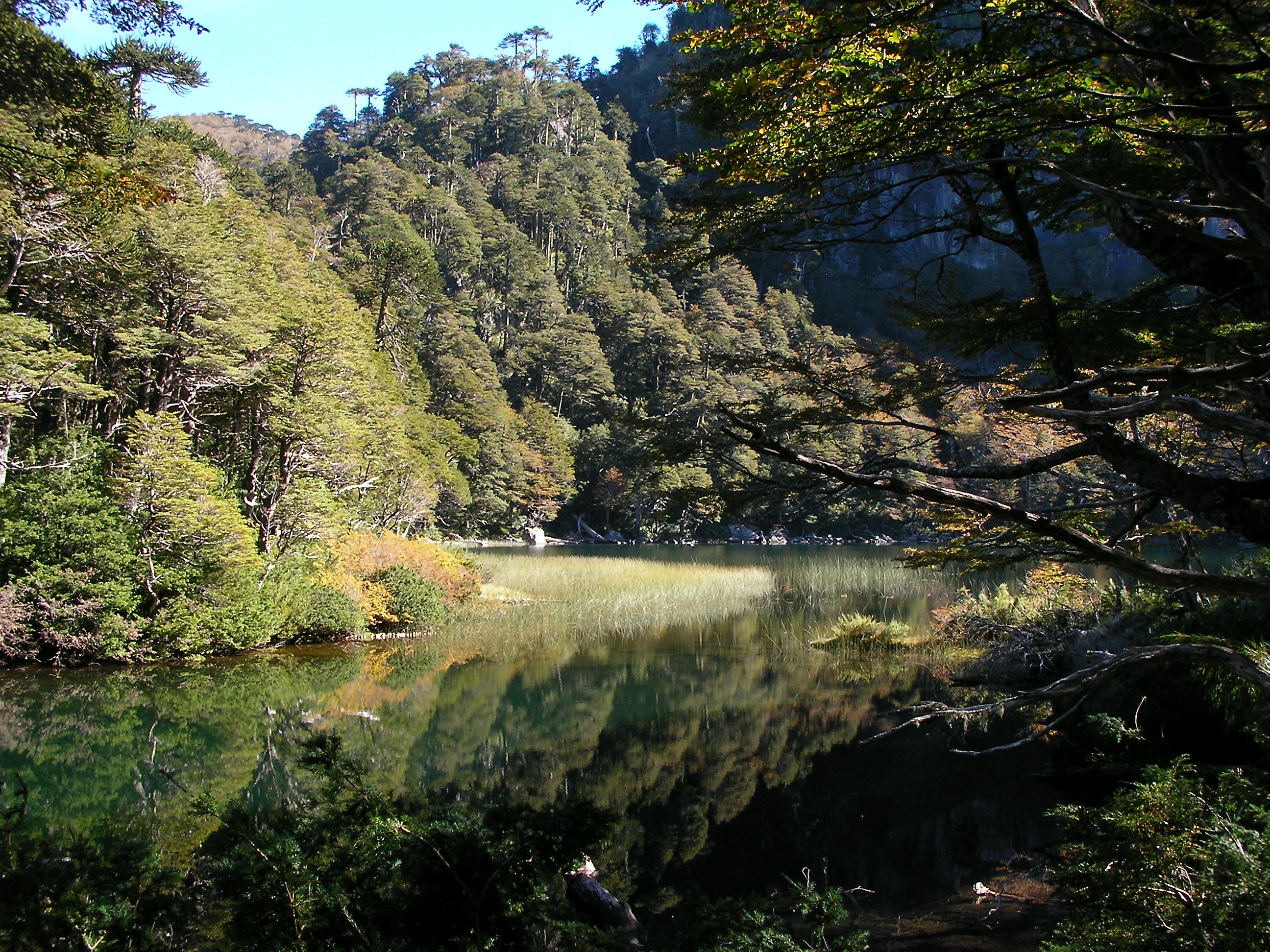 Parque Nacional Heurquehue 4