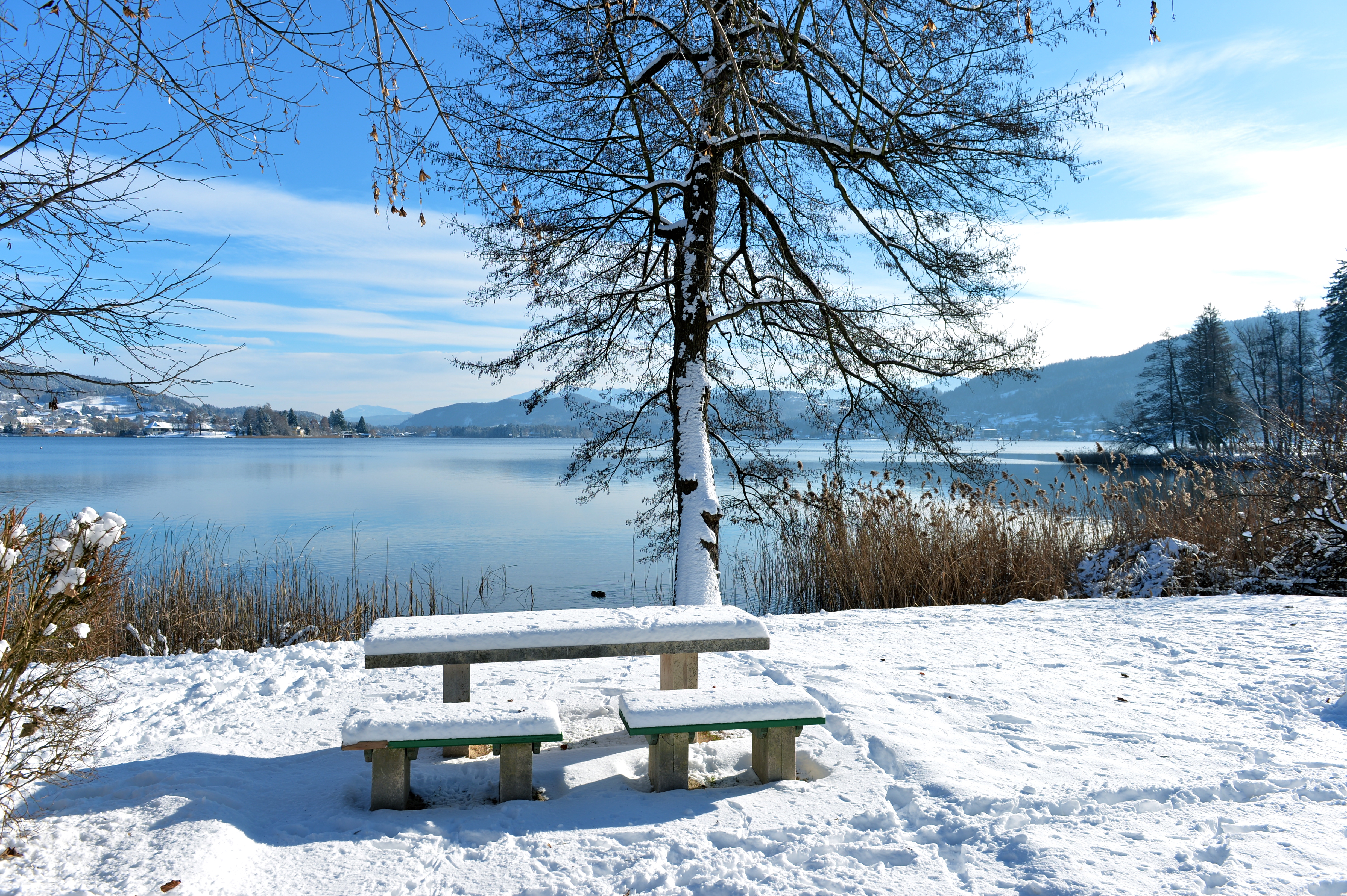 Poertschach Halbinselpromenade Rastplatz vor Erle 29122014 677