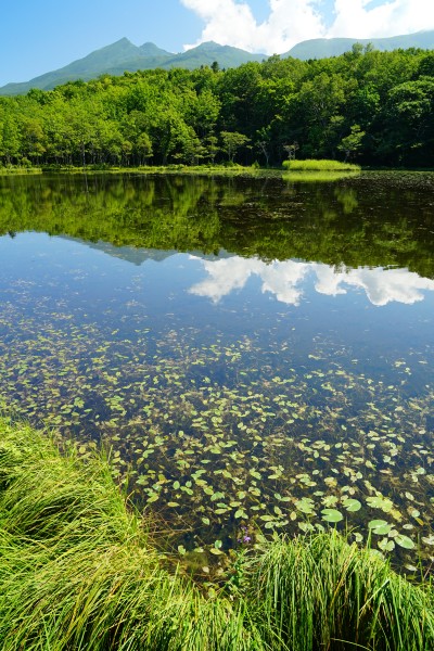 140829 Goko of Shiretoko Goko Lakes Hokkaido Japan03ss5