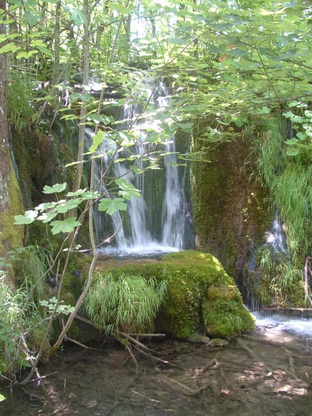 2005 1031Image0025