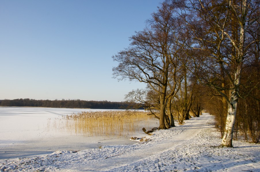 2012 - Febr - Tur ved Sorø Sø - 16 (6831786537)