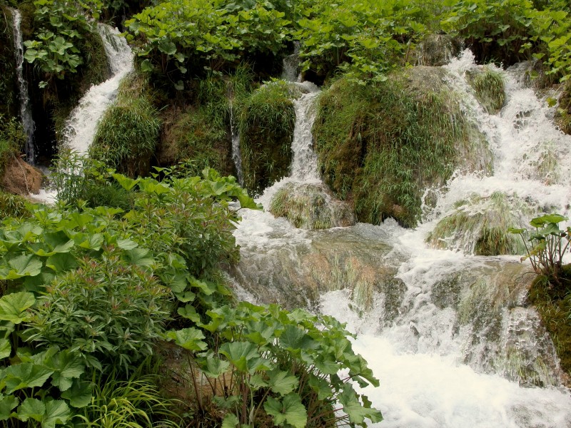 20130608 Plitvice Lakes National Park 135