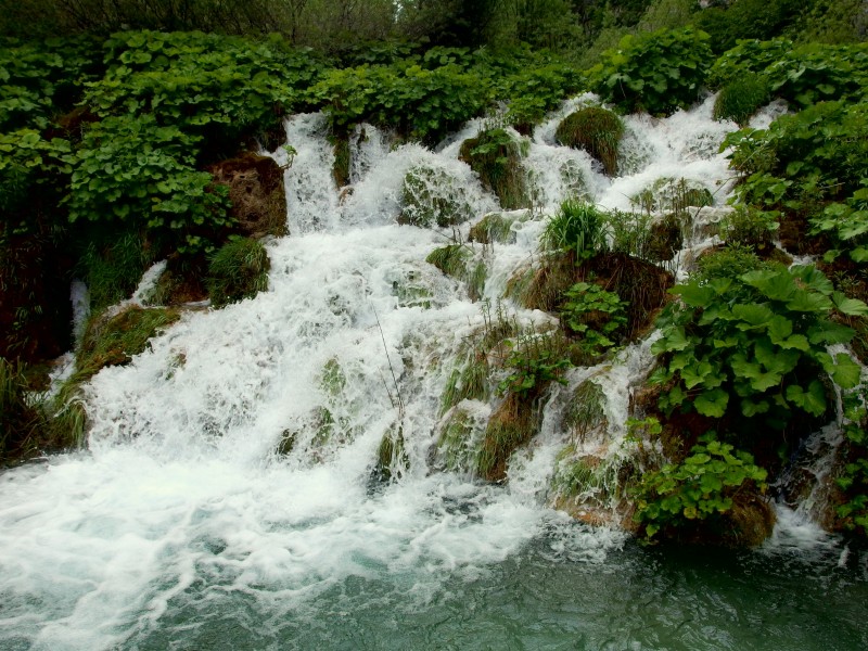 20130608 Plitvice Lakes National Park 141