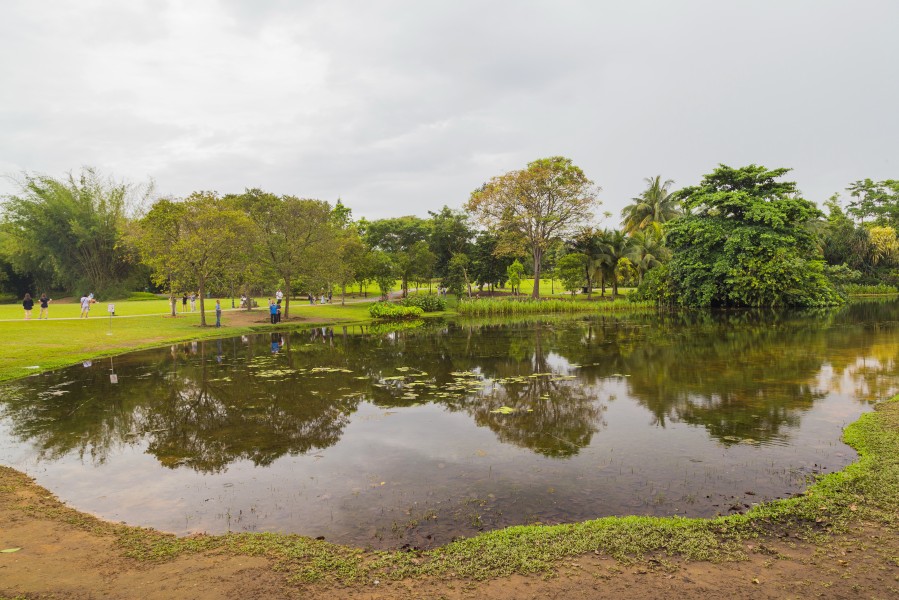 2016 Singapur, Ogrody botaniczne (025)