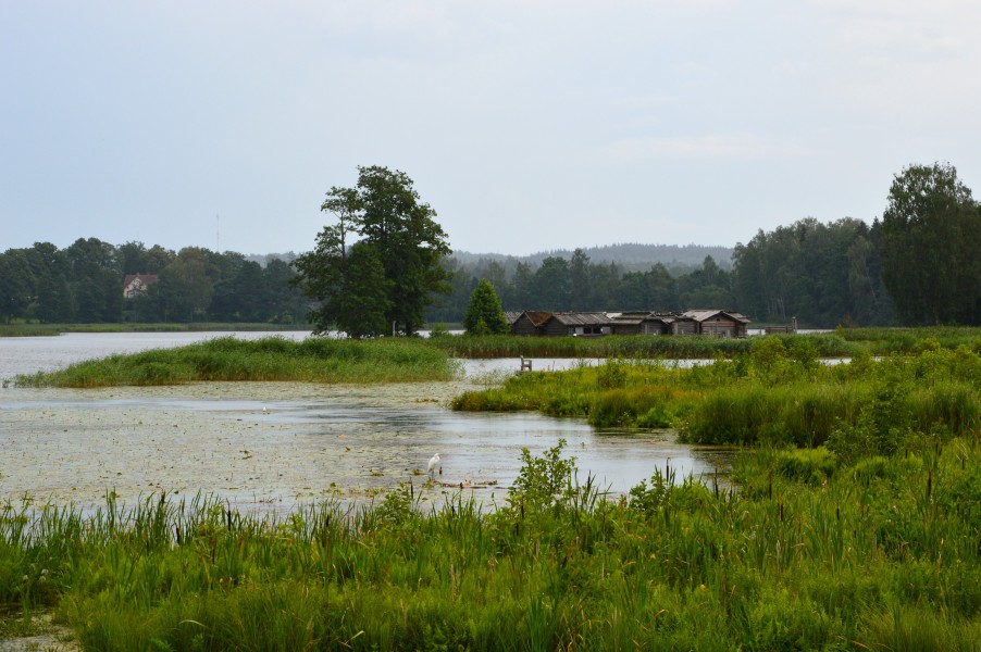 Āraiši järvelinnus