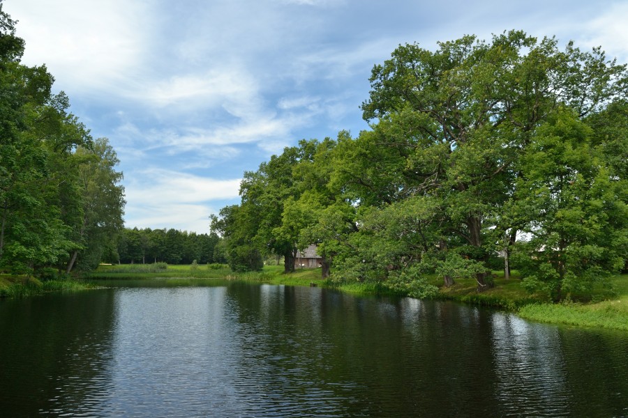 Ahja Keskmine järv