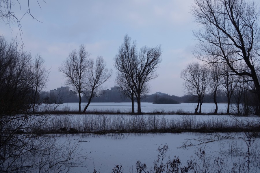Arnhem, de Immerlooplas in de winter vanaf 't Duifje IMG 1752 2018-02-28 10.15