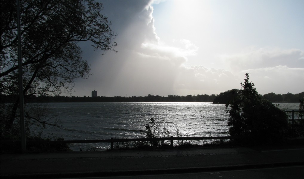 Bagsværd Sø 2
