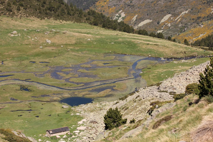 Basses del Siscaró - 1