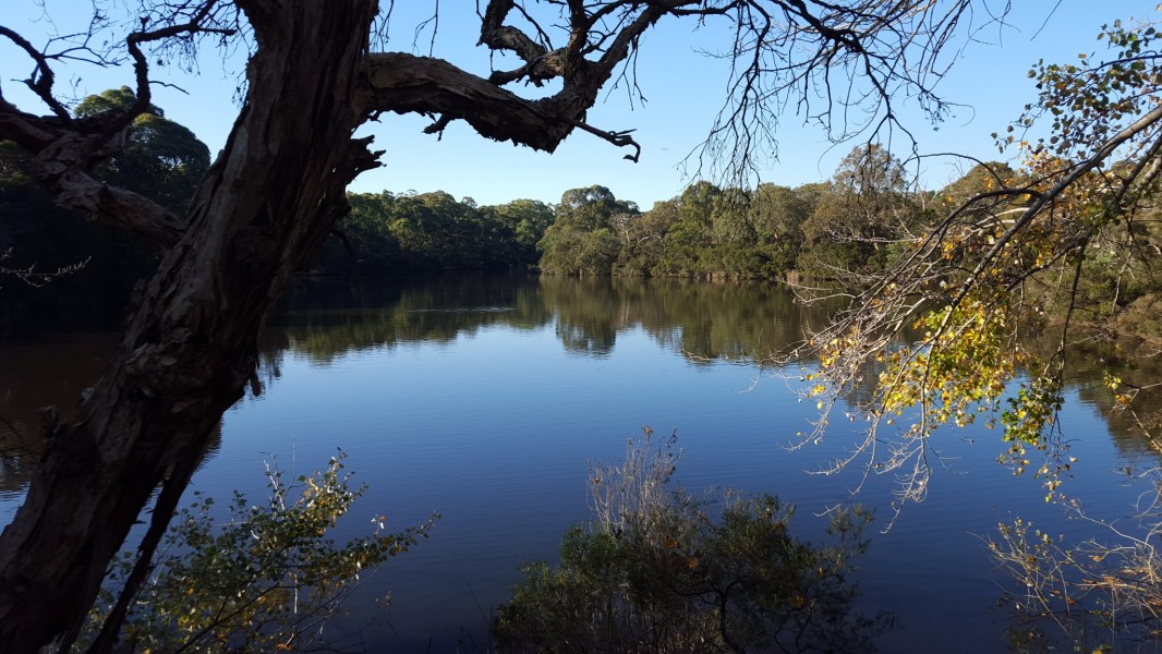 Blackburn Lake Sanctuary
