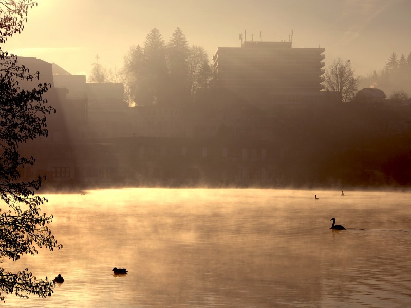 Bled (11416436704)