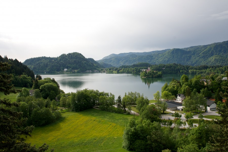 Bled (8964319203)