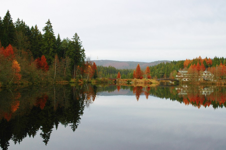 Blick über den Fichtelsee (von Süden)