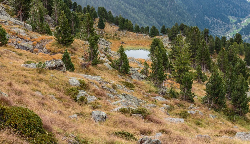 Blik op Lago della Lama. Bergtocht van parkeerplaats bij centrale Malga Mare naar Lago del Careser