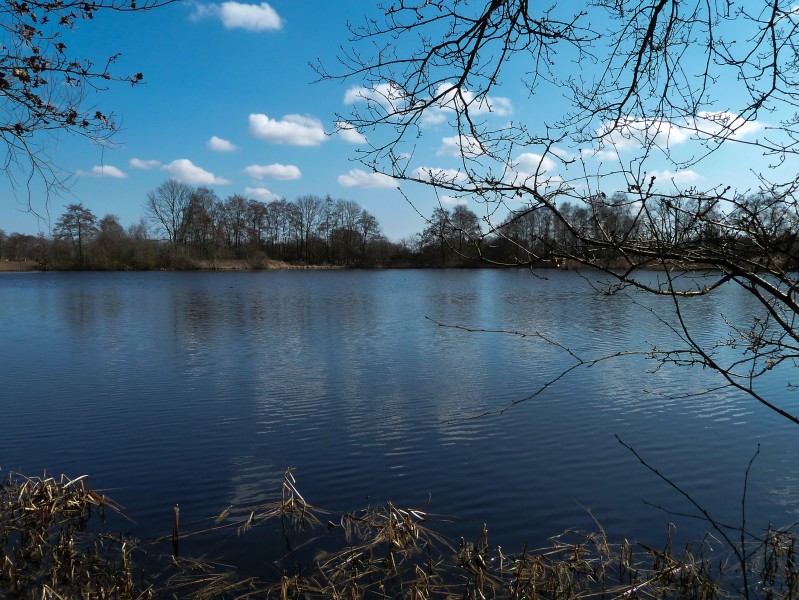 Bolmeer (1)