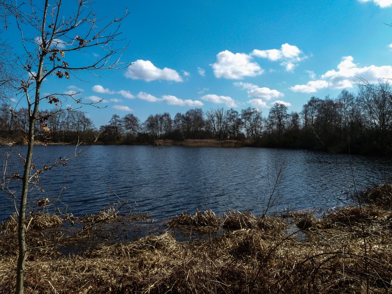 Bolmeer (3)