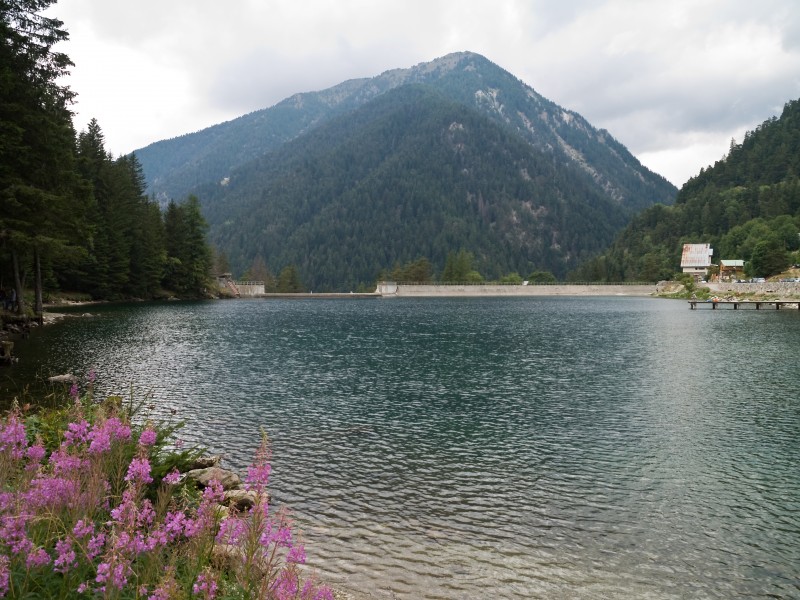 Boreon lac