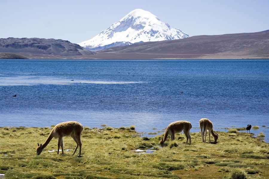 Chungara Lake and Volcan Sajama Chile Luca Galuzzi 2006