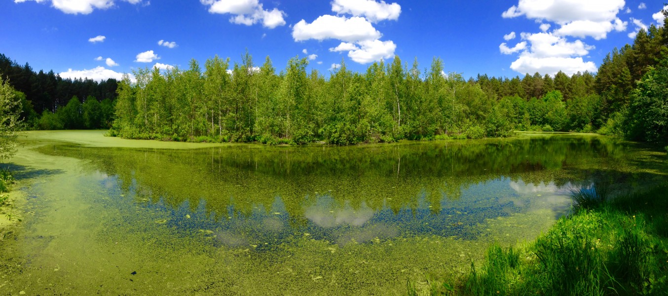 Озеро Журавлине