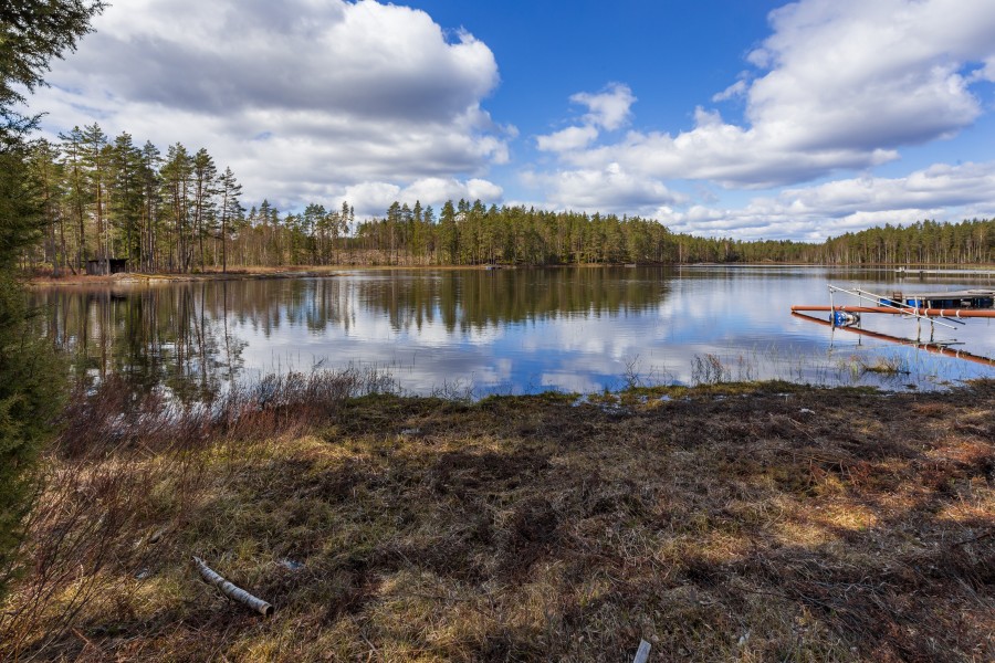 Dammsjön (Stekens fiskeklubb) 2017-05-10