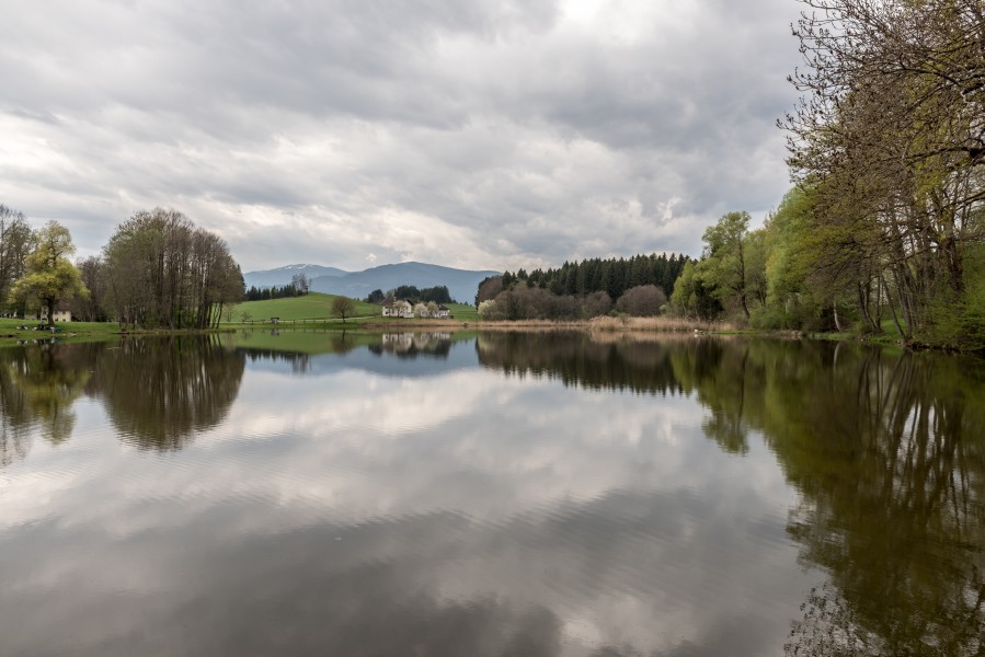 Feldkirchen Dietrichstein Dietrichsteiner See 13042017 7489