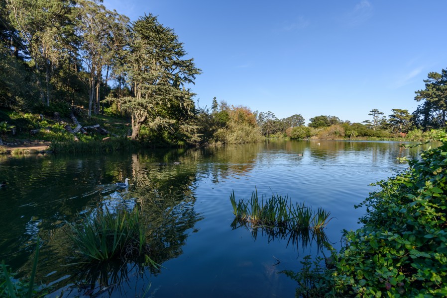 Golden Gate Park San Francisco December 2016 005