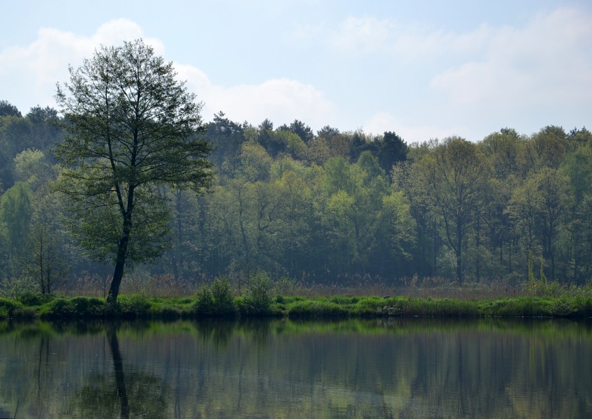 Gzel Mały lake, Rybnik 01