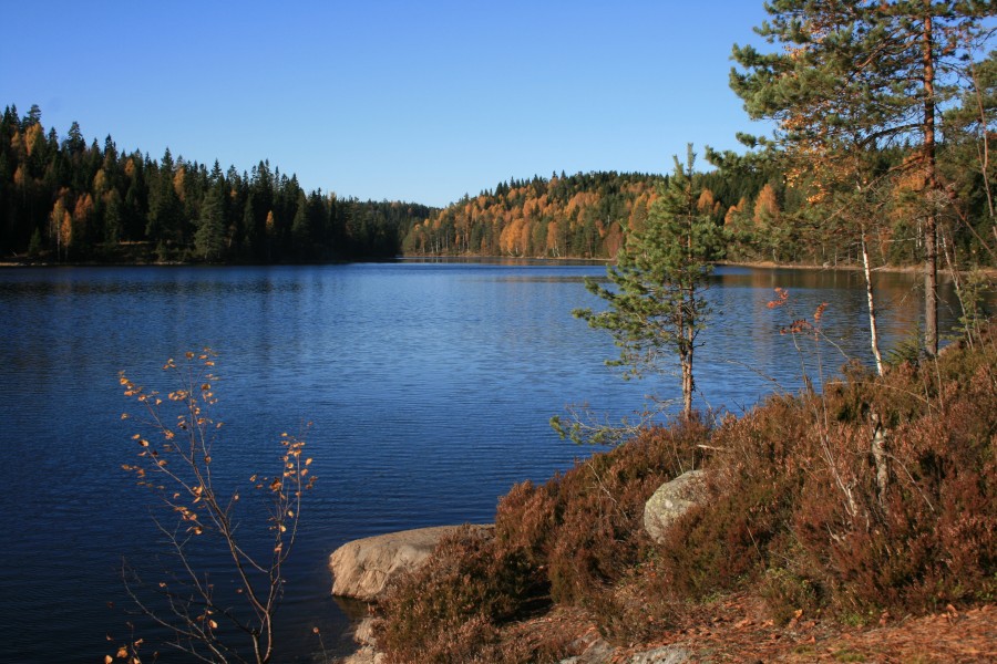 Halssjøen