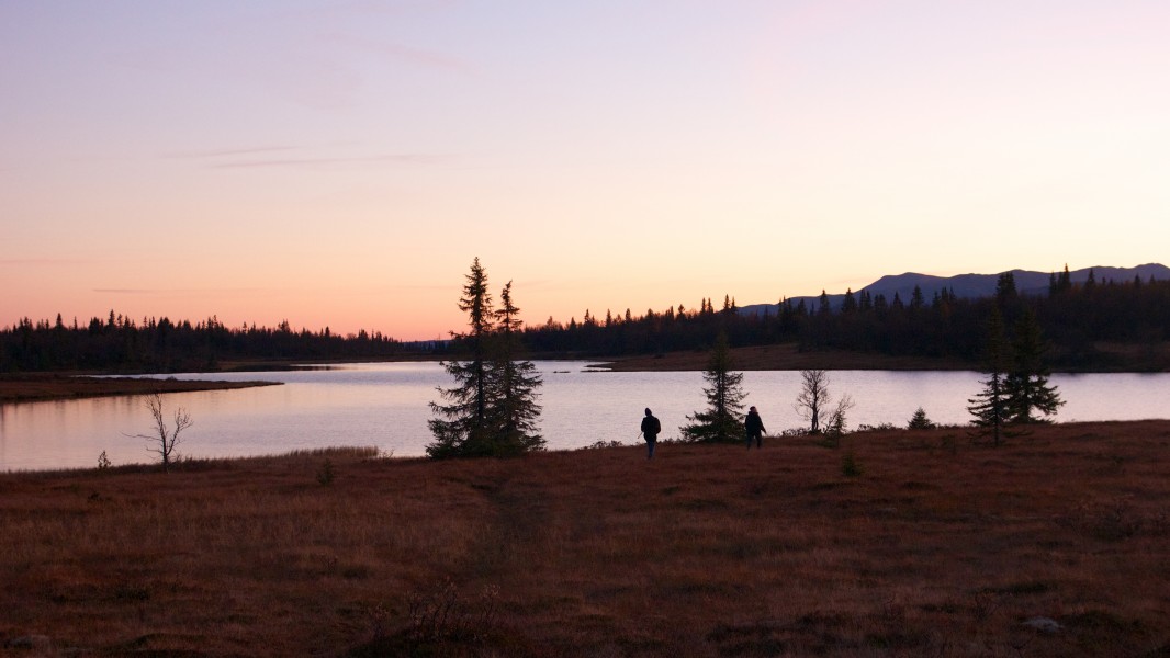 Hemtjønnet